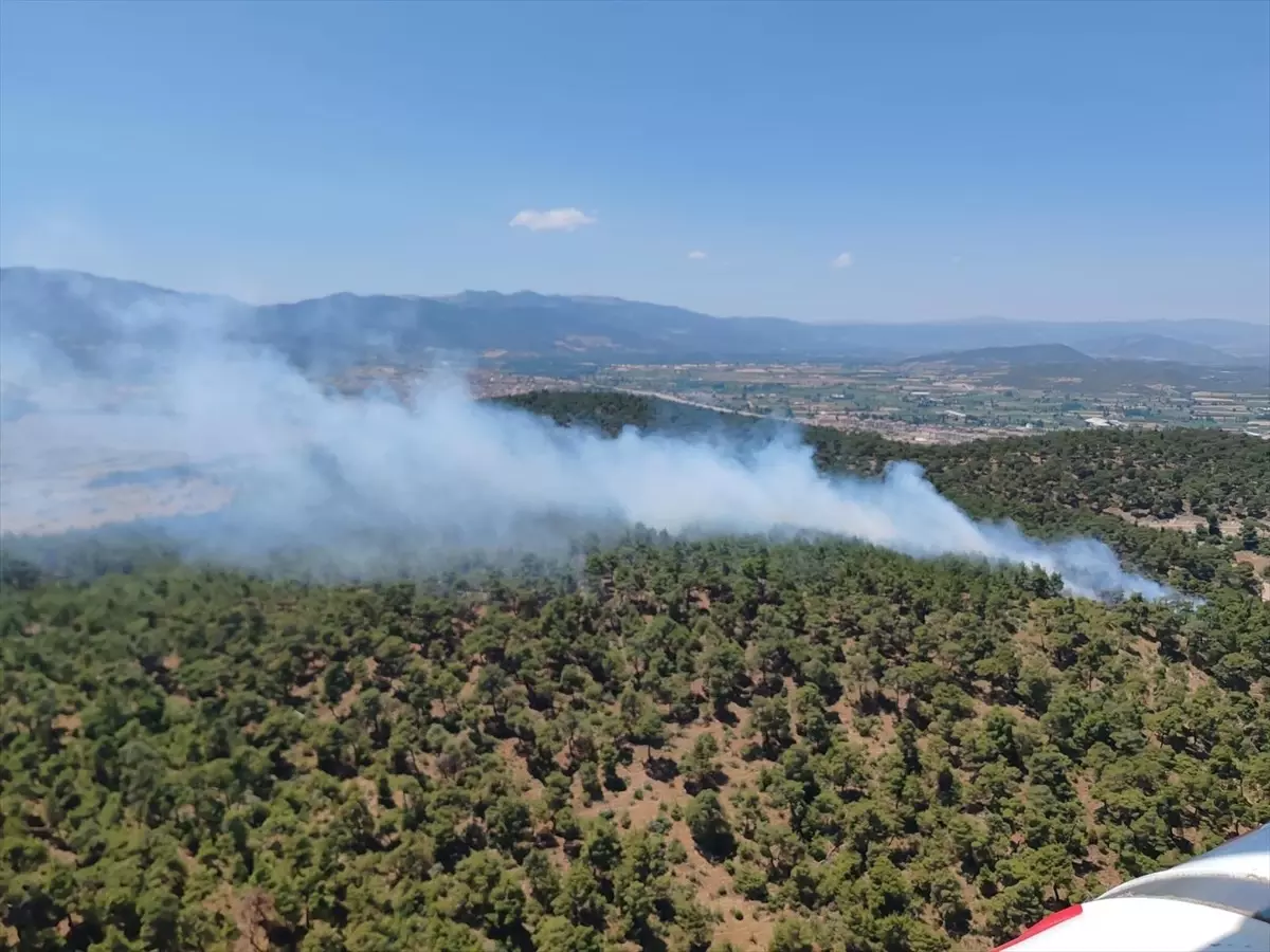 Balıkesir\'in Sındırgı ilçesinde orman yangını çıktı