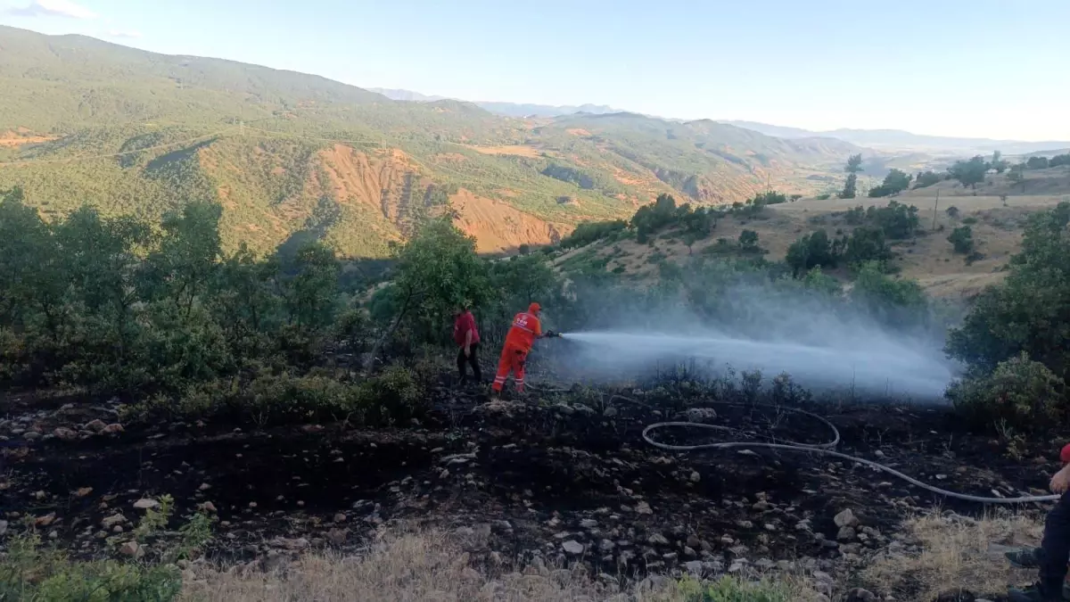 Bingöl\'de çıkan orman yangını ekipler tarafından söndürüldü