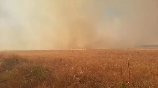 Çanakkale'de tarım arazisinde yangın! 2 köy tahliye ediliyor