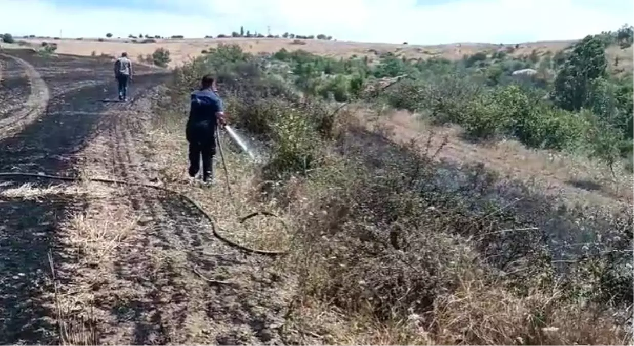 Ankara Elmadağ\'da Ekili Tarım Arazisinde Yangın Çıktı