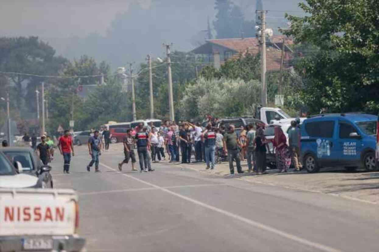 İzmir'de ormanlık alanda çıkan yangın büyüdü! Bazı evler tahliye edildi