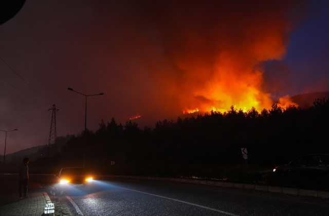 İzmir'in 5 ilçesinde orman yangını! Bakan Yumaklı bölgeye gidiyor