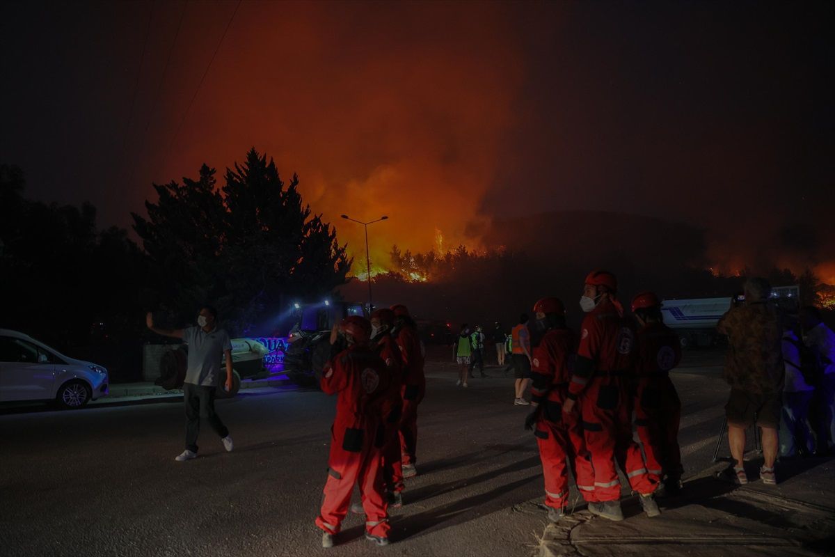 İzmir Selçuk\'ta Orman Yangını: Havadan ve Karadan Müdahale Devam Ediyor