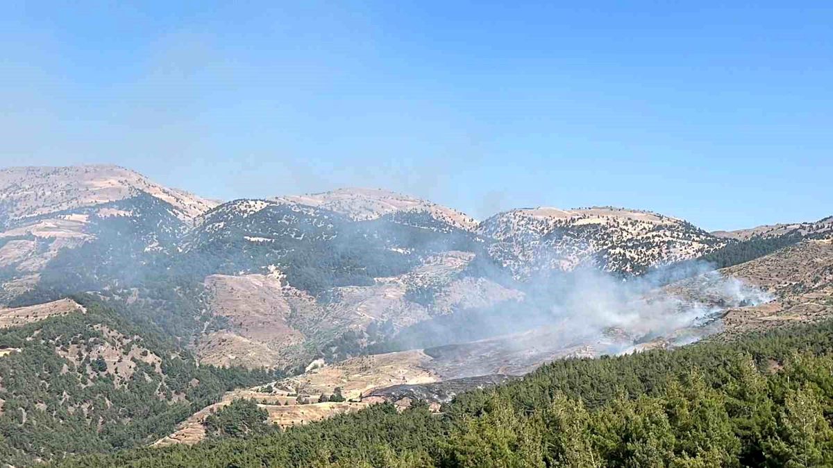 Kahramanmaraş\'ta Ormanlık Alanda Yangın Çıktı