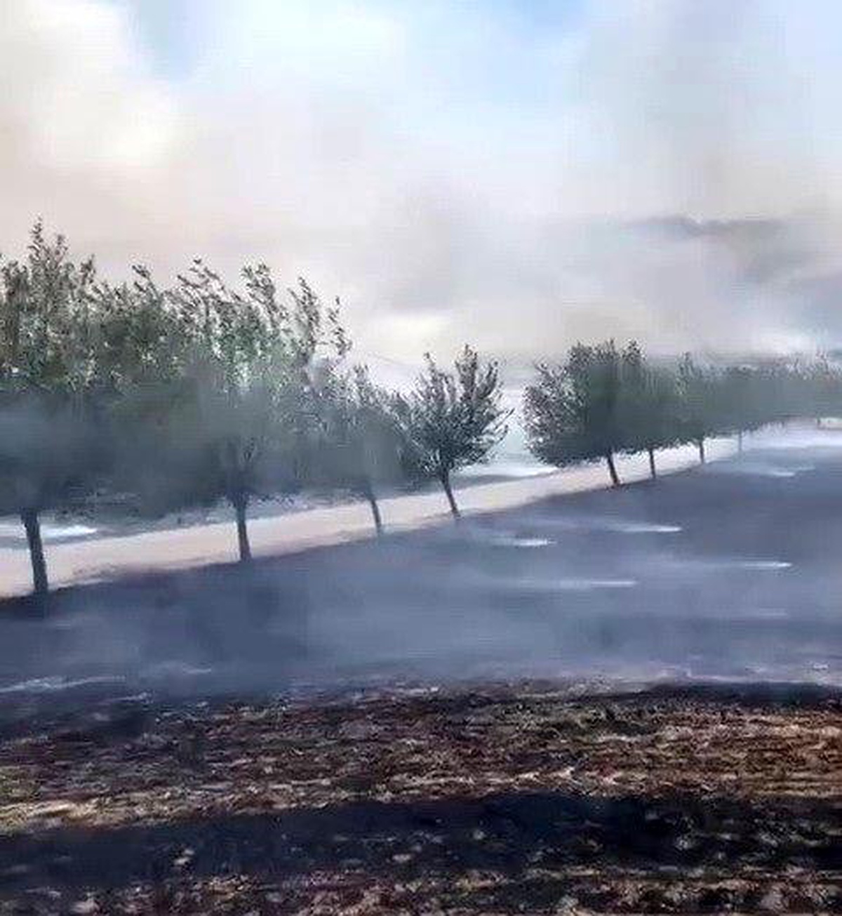 Adıyaman\'da Köy Yakınlarında Anız Yangını