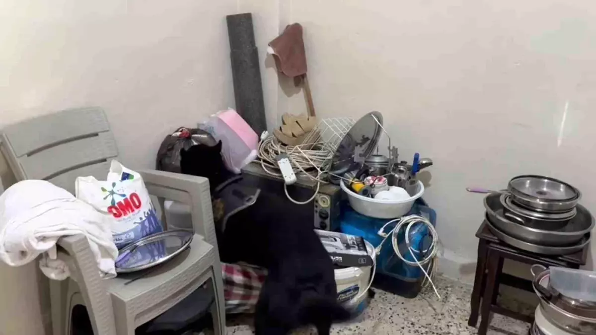 Hatay\'da polis köpeği uyuşturucu buldu