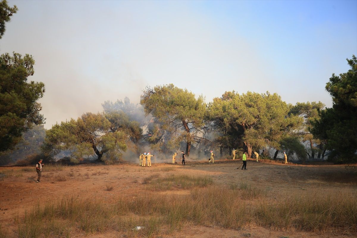Antalya\'da çıkan orman yangını kontrol altına alındı