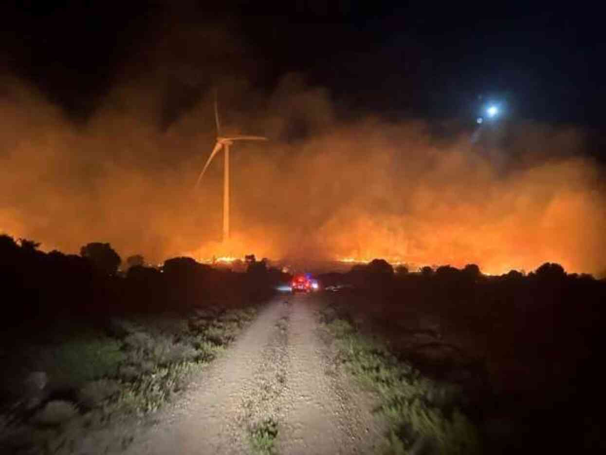 Çeşme'de attığı izmaritle orman yangınına neden olan kişi tutuklandı Çeşme'de attığı izmaritle orman yangınına neden olan kişi tutuklandı