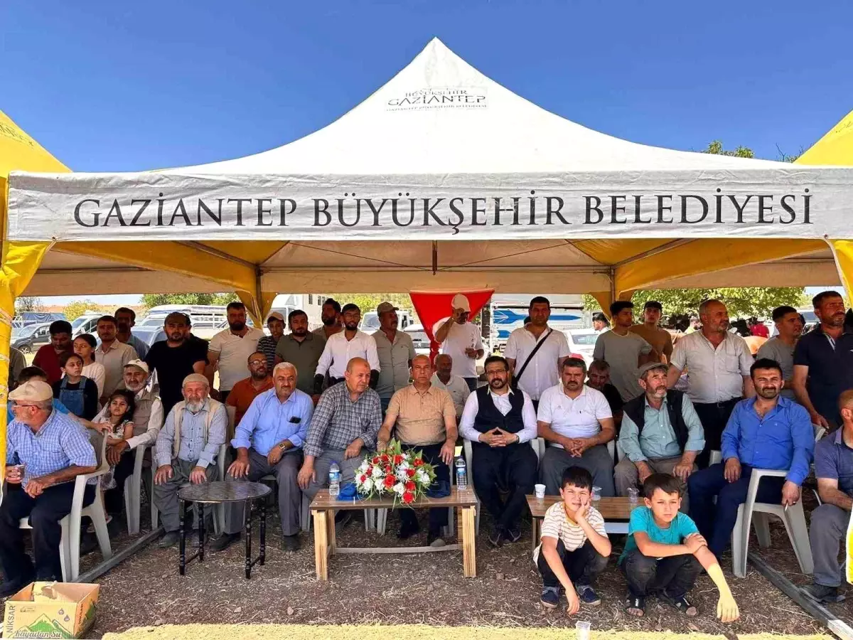 Gaziantep\'te 4. Geleneksel Rahvan At Yarışları Coşkuyla Tamamlandı