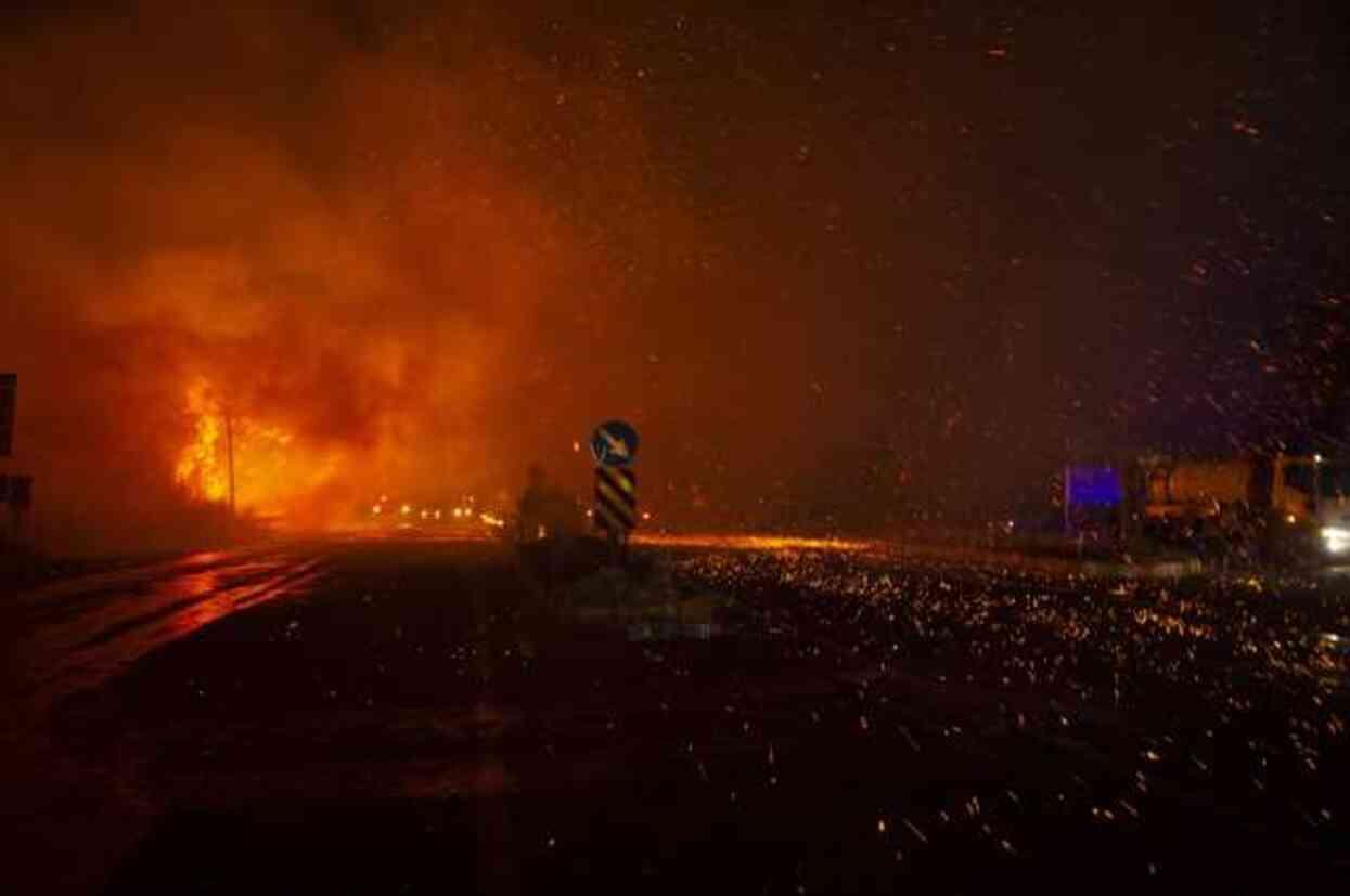 İzmir'in Selçuk ve Menderes ilçelerinde yangın! Ekiplerin mücadelesi sürüyor