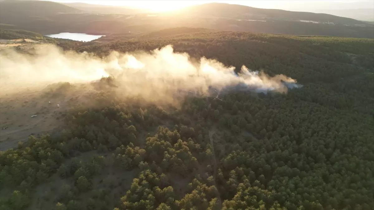 Kastamonu\'da çıkan orman yangını kontrol altına alındı