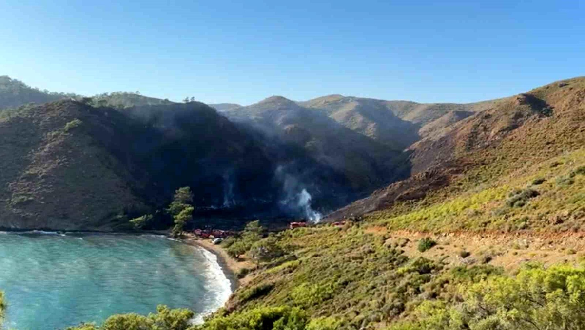 Muğla\'da Marmaris ilçesinde çıkan orman yangını kontrol altına alındı