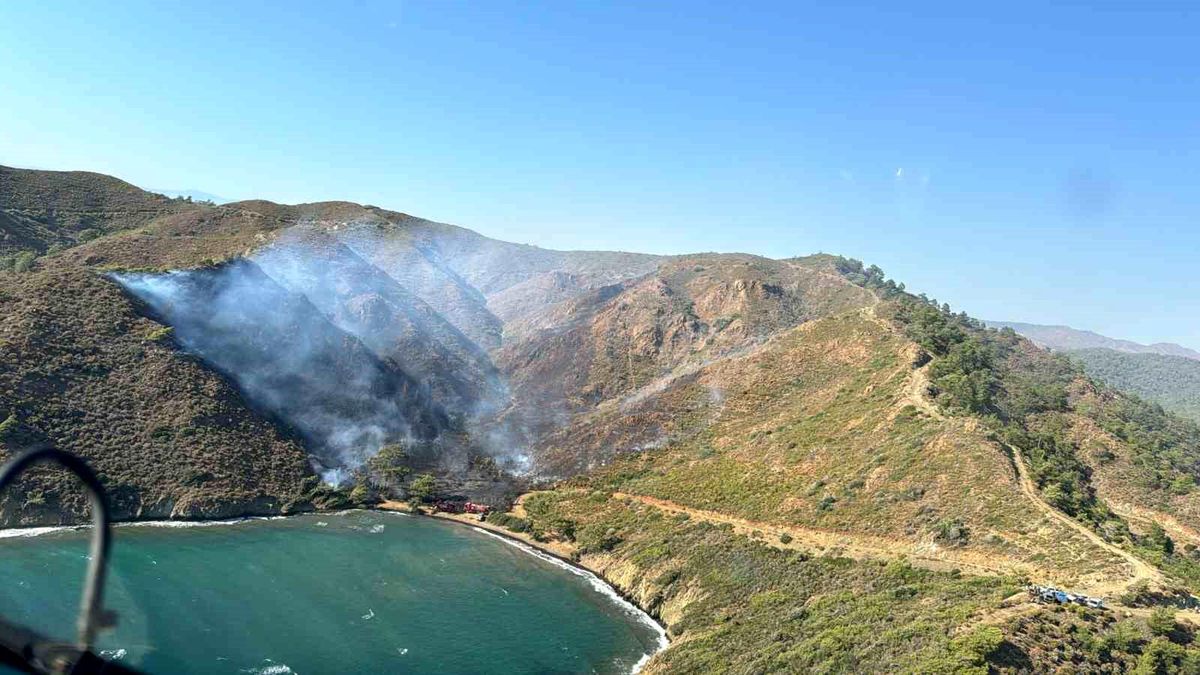 Marmaris\'te çıkan orman yangını kontrol altına alındı