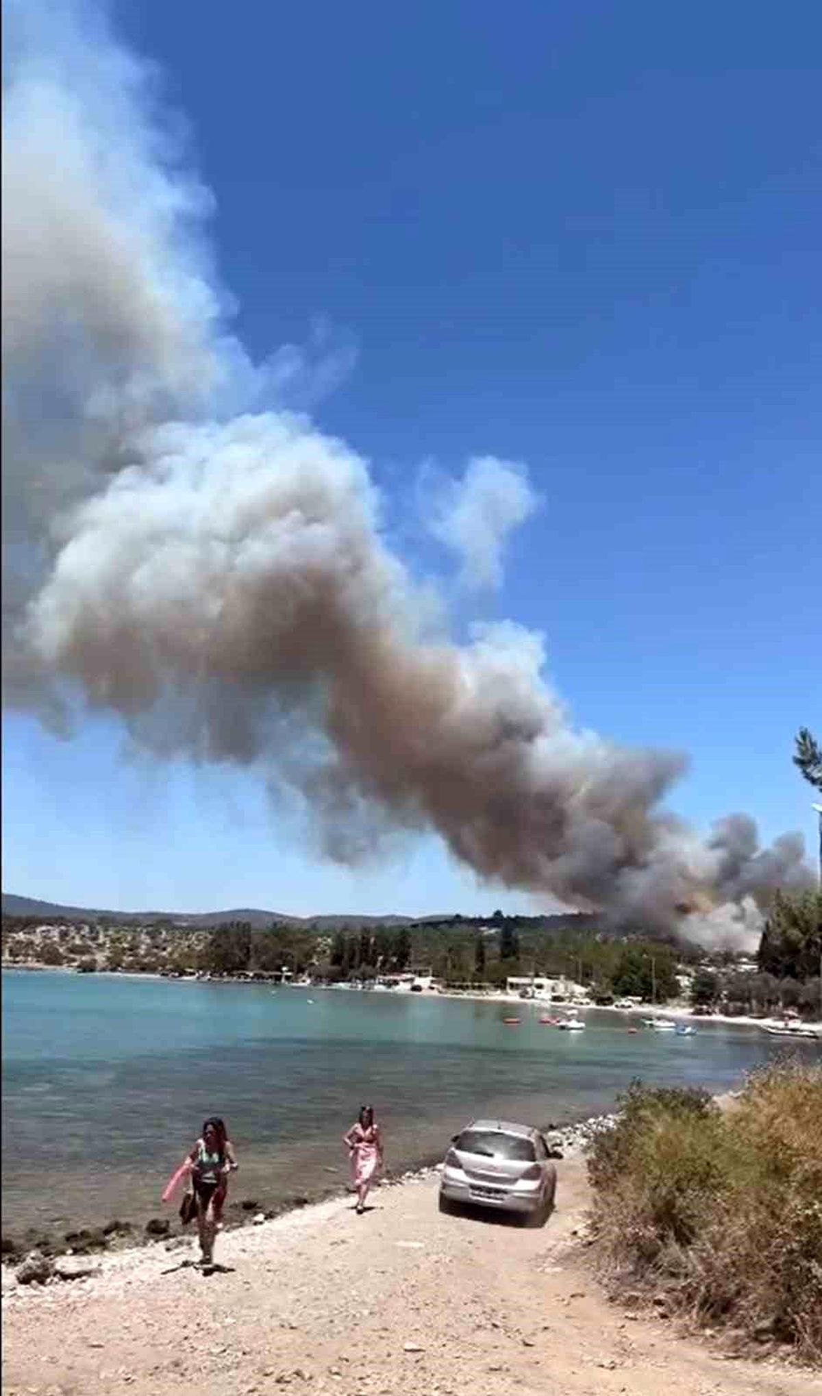 Muğla\'da Orman Yangınına Müdahale Başladı