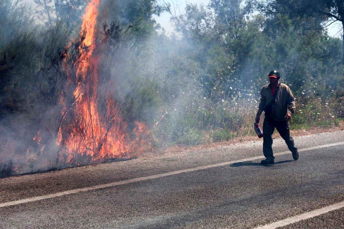 İzmir\'in Selçuk ilçesindeki yangın vatandaşların dikkati sayesinde söndürüldü