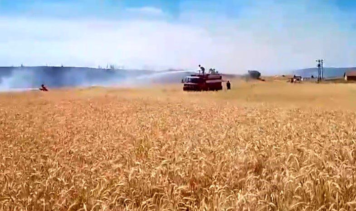 Tavşanlı\'da Ekili Alan Yangını Söndürüldü