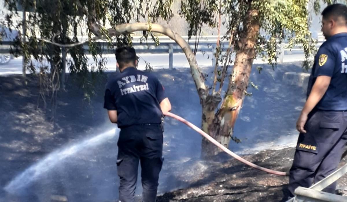 Aydın\'da Son 24 Saatte 95 Yangına Müdahale Edildi