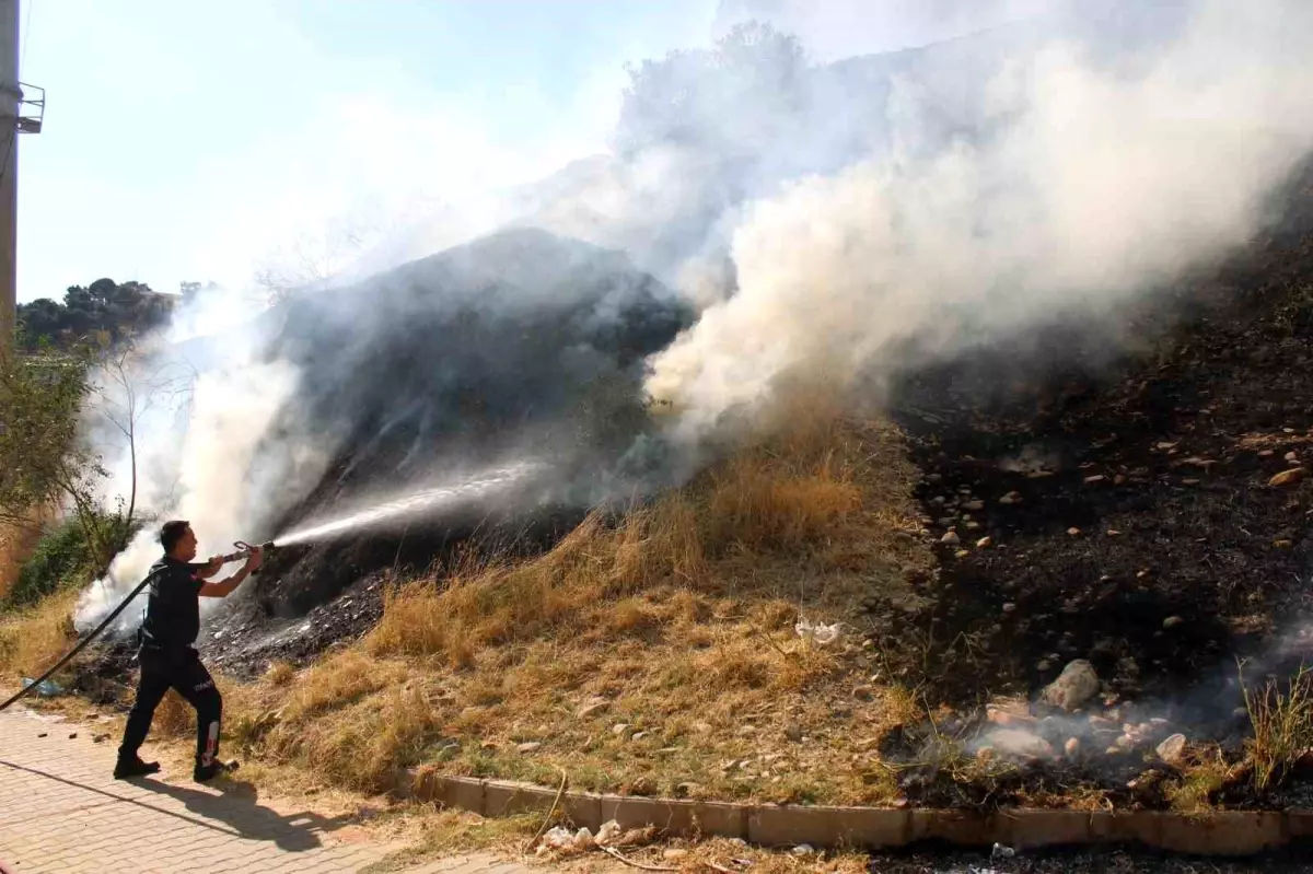 Aydın\'da Aytepe Mesire Alanı\'nda Yangın Kontrol Altına Alındı