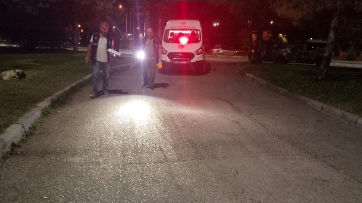 Çorum\'da Parkta Çıkan Kavgada 2 Kişi Yaralandı