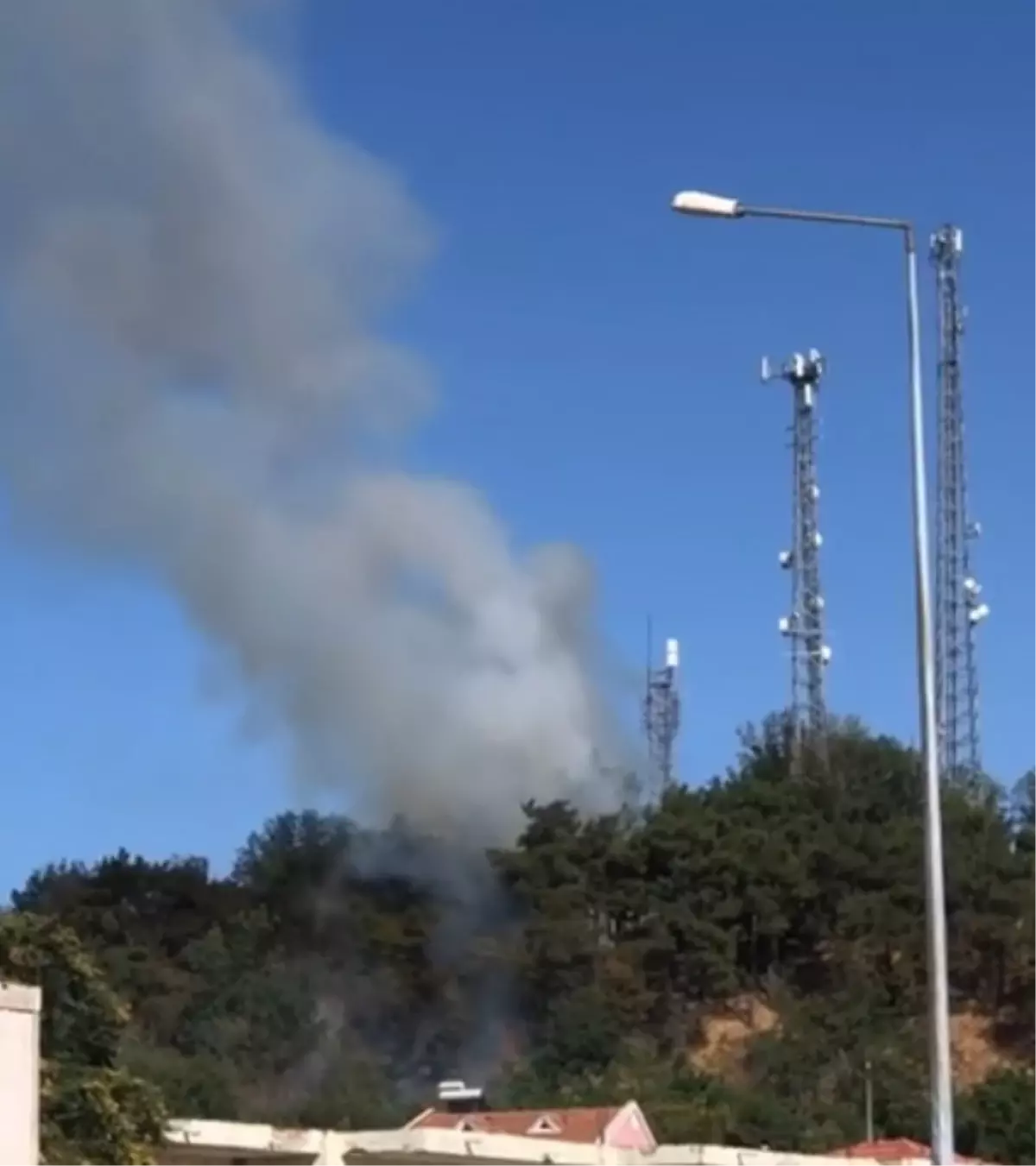 Edirne İpsala\'da Orman Yangını Kontrol Altına Alındı