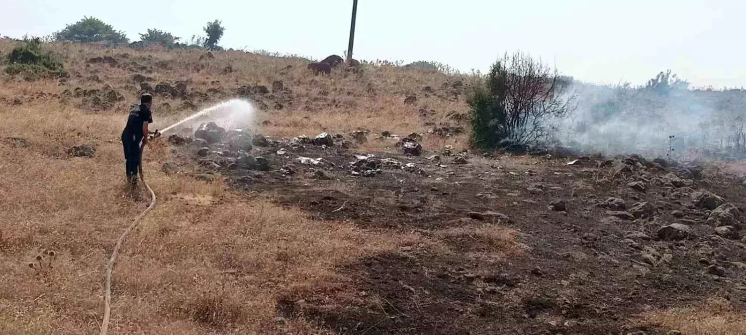 Hatay\'da otluk alanda çıkan yangın söndürüldü