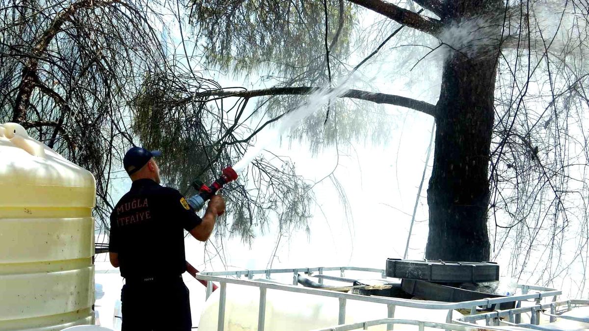 Muğla\'da Sanayi Bölgesinde Yangın Kontrol Altına Alındı