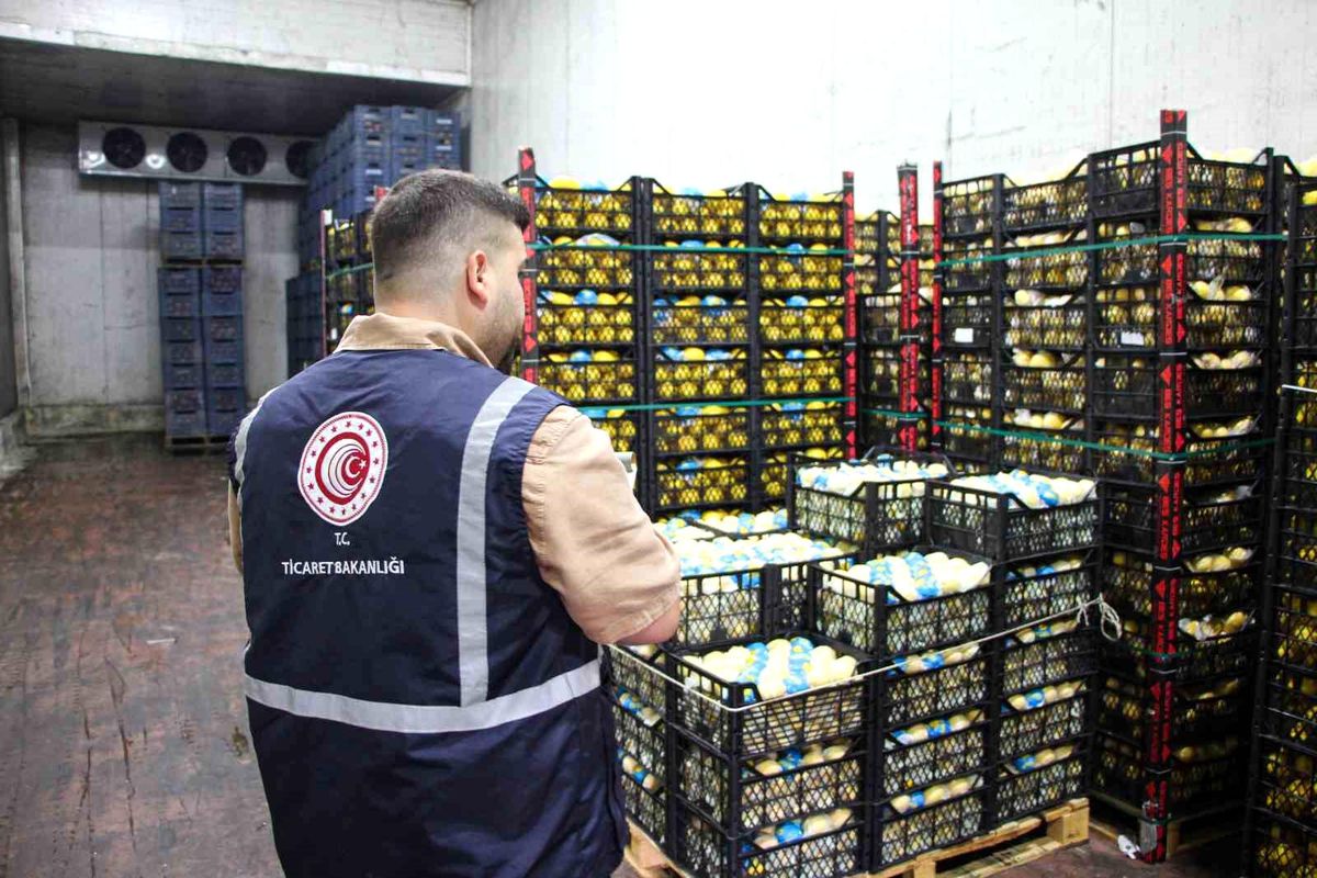 Mersin\'de Limon Fiyatlarına Denetim Başlatıldı