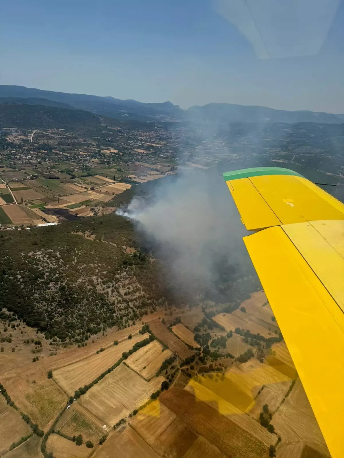 Muğla Menteşe\'de Orman Yangını Çıktı