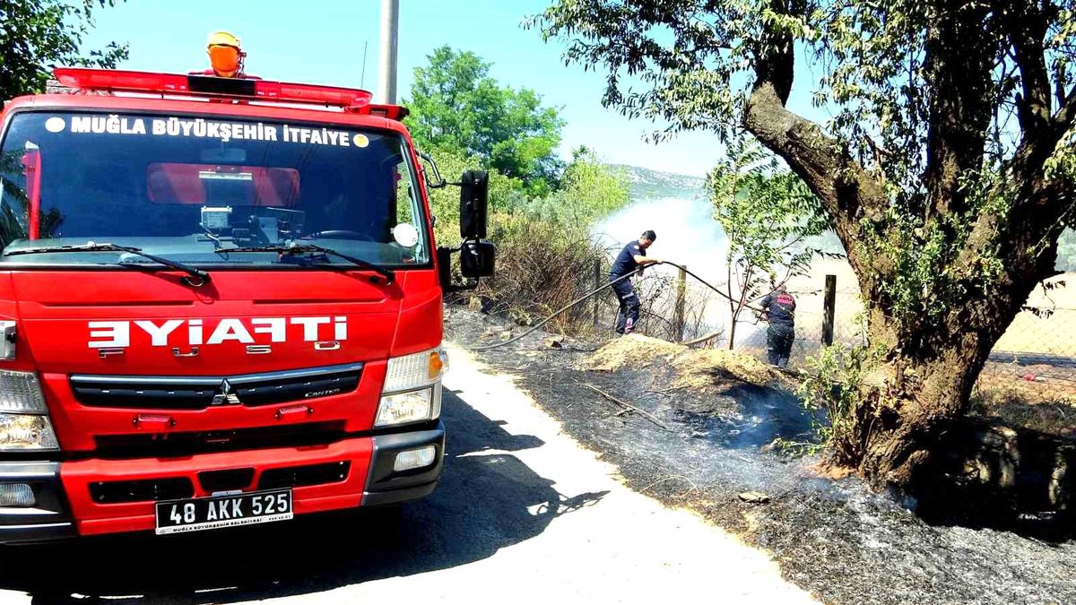 Muğla\'da Sigara İzmaritinden Çıkan Yangın Kontrol Altına Alındı