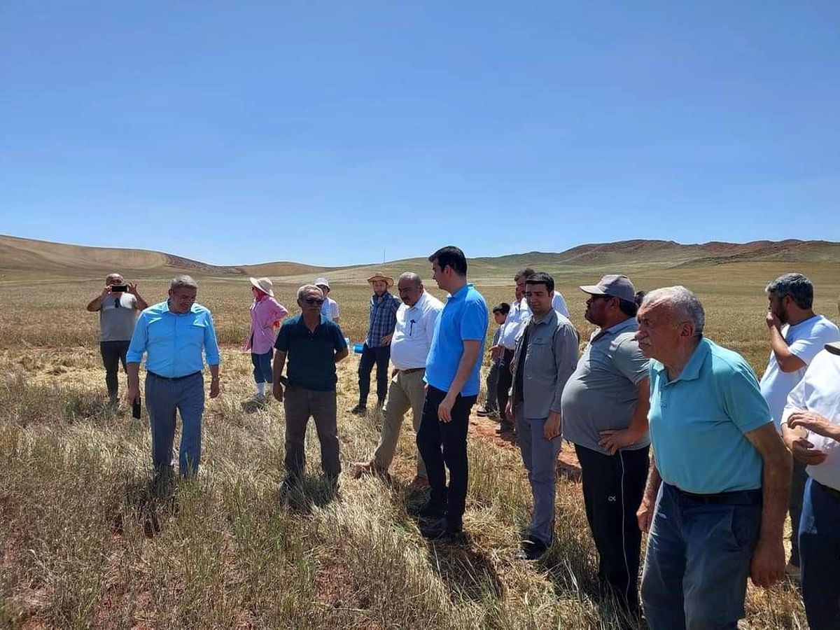 Sungurlu İlçe Tarım ve Orman Müdürlüğü Biçerdöver Kontrollerine Devam Ediyor