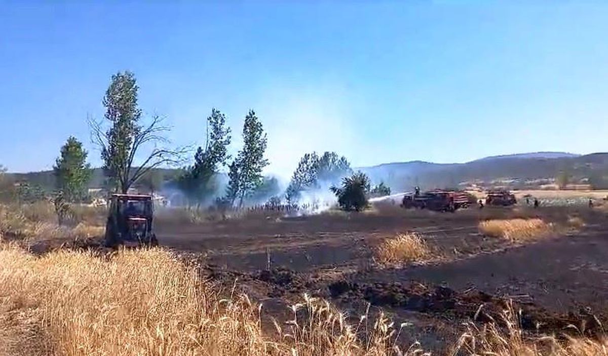 Tavşanlı\'da Ekili Alan Yangını Söndürüldü