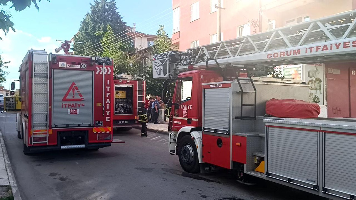 Çorum\'da bir petshop mağazasında çıkan yangın itfaiye ekiplerinin müdahalesi ile söndürüldü