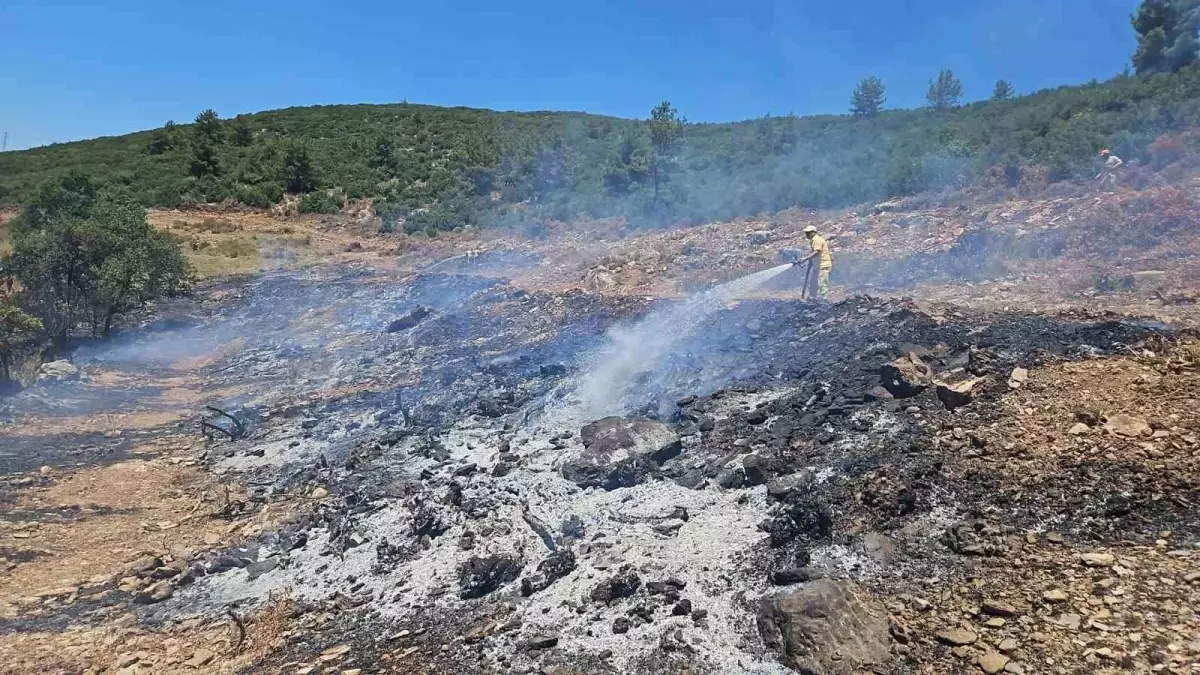 Muğla\'da tarım arazisinde çıkan yangın kontrol altına alındı