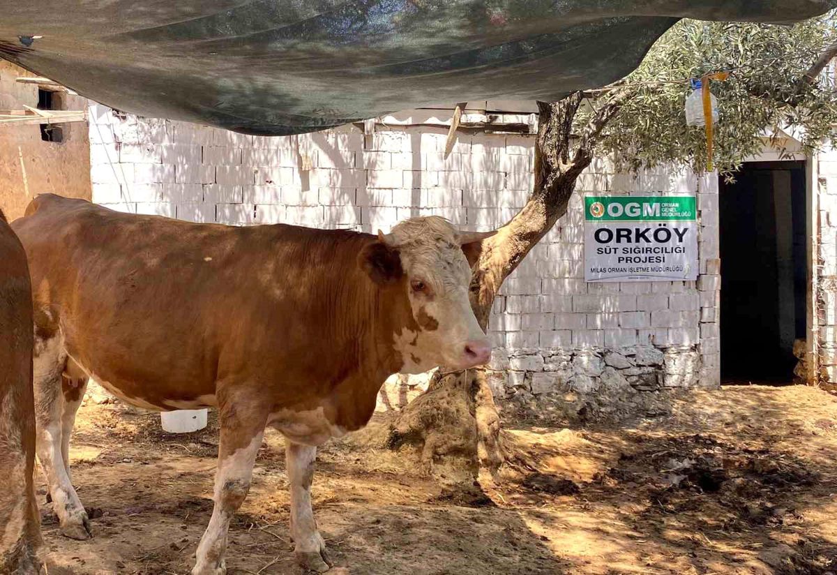 Muğla\'daki Orman Köylülerine Destekler Devam Ediyor
