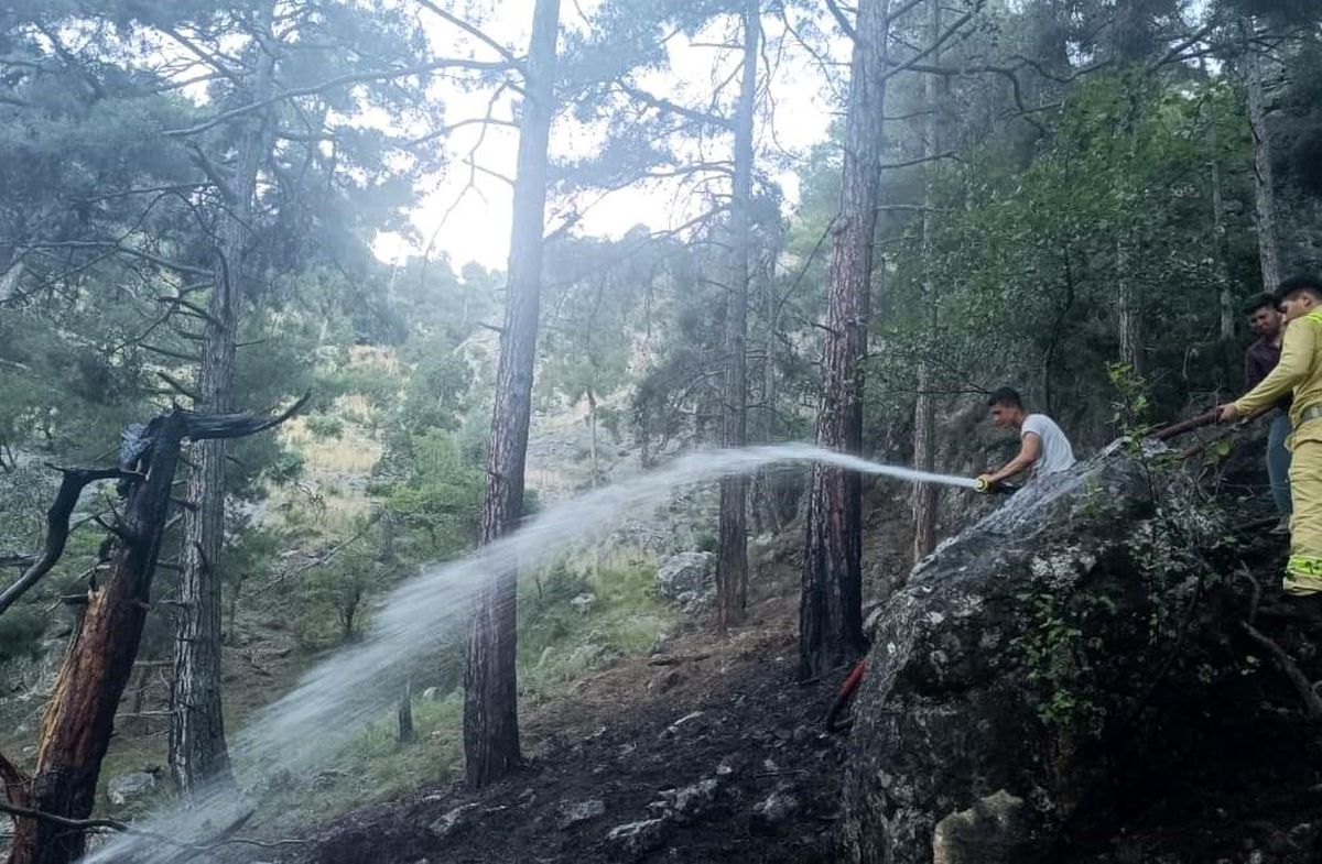 Tarsus\'ta Orman Yangını Kontrol Altına Alındı