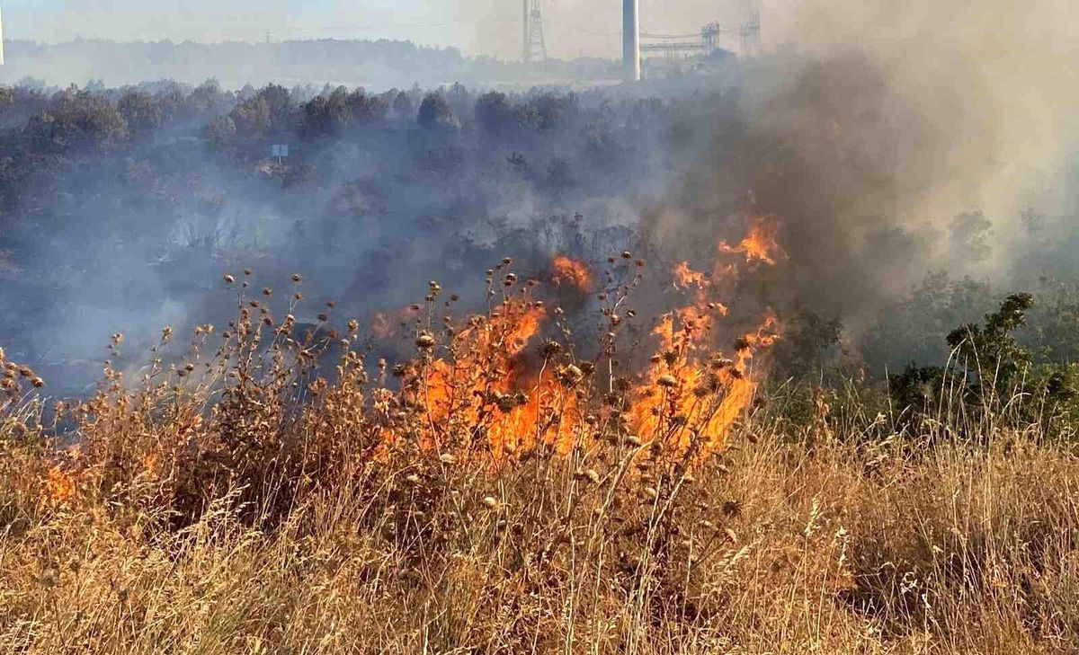 Vezirköprü Ziraat Odası Başkanı: Çiftçilere Anız Yakmama Uyarısı