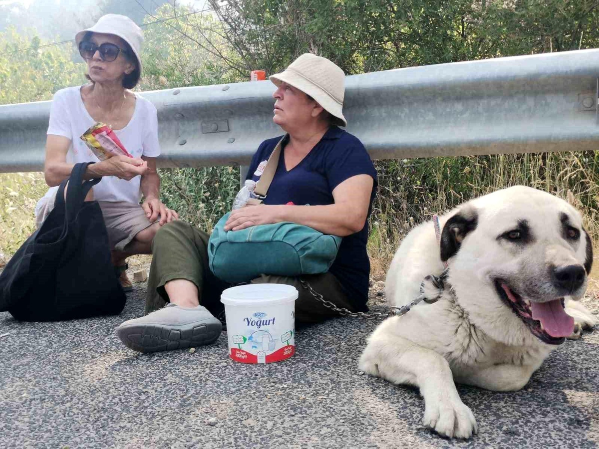 İzmir\'de çıkan orman yangınında tavukları telef olan kadın gözyaşları içinde anlattı