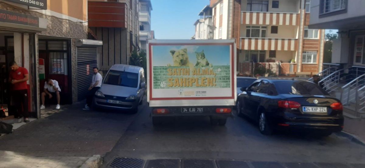 İETT Şoförü Martıyı Kurtardı