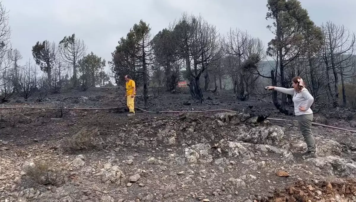 Balıkesir\'deki Orman Yangınına Havadan Müdahale Devam Ediyor