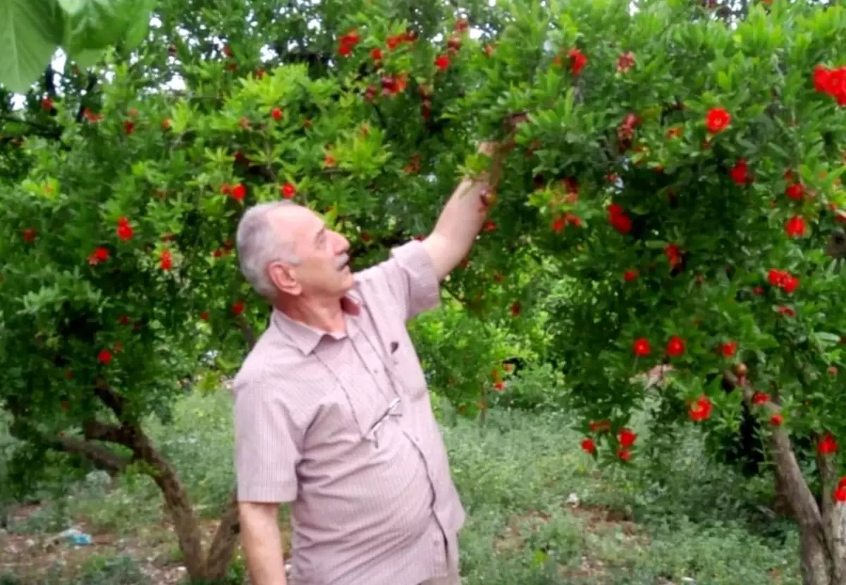 Emekli Polis Memuru Antalya\'da Boğularak Hayatını Kaybetti