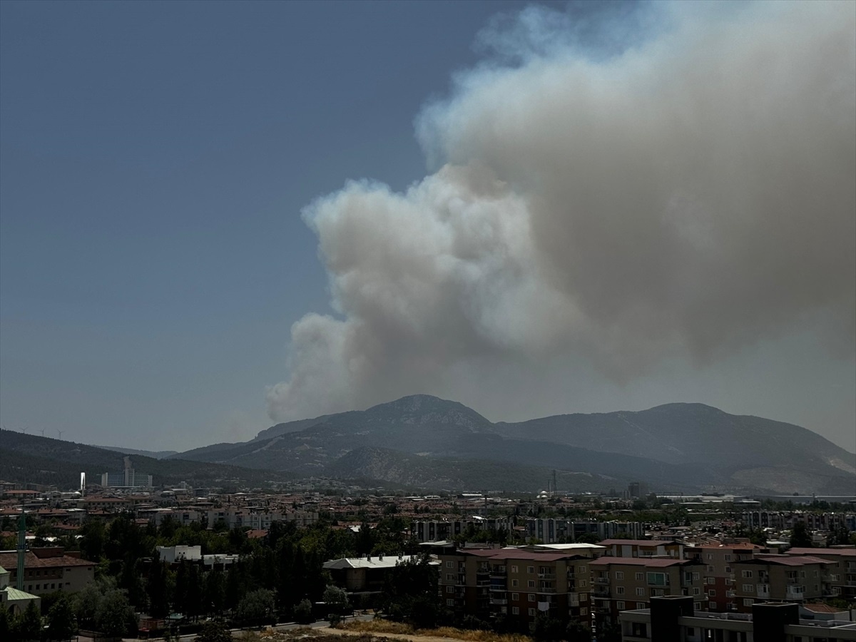İzmir Bornova\'da Ormanlık Alanda Yangın Çıktı