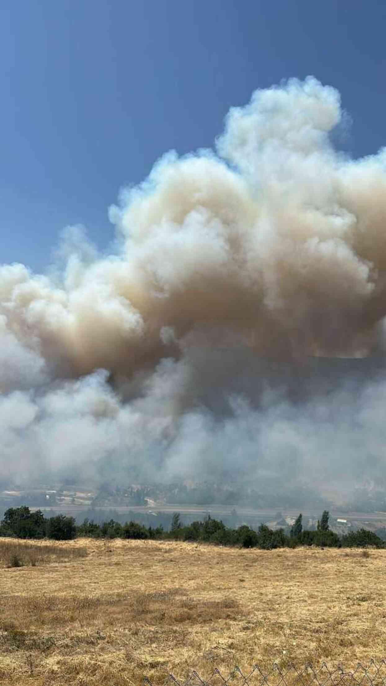 İzmir'de orman yangını! 2 mahalle boşaltıldı, Manisa kara yolu trafiğe kapatıldı