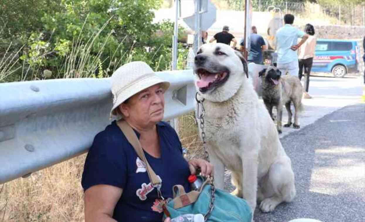 İzmir'de orman yangını! 2 mahalle boşaltıldı, Manisa kara yolu trafiğe kapatıldı