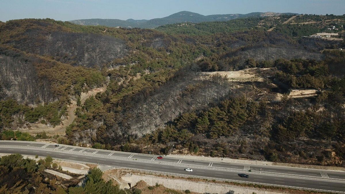 İzmir Bornova\'daki Orman Yangınına Havadan Müdahale Devam Ediyor