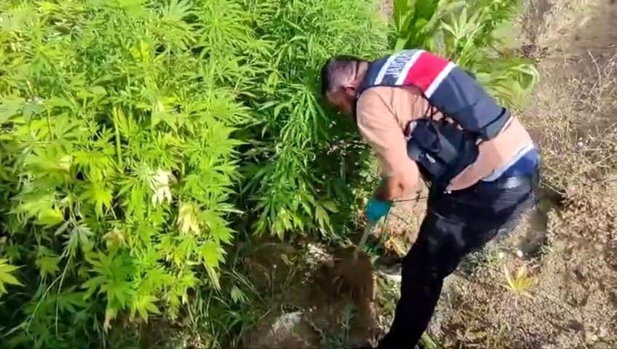 Sakarya\'da Uyuşturucu Operasyonunda 4 Şüpheli Gözaltına Alındı