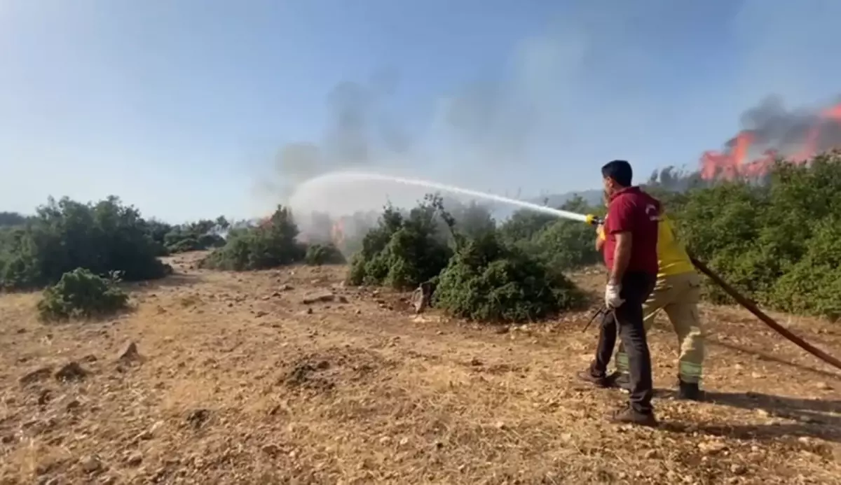 Kahramanmaraş\'ta Orman Yangını Kontrol Altına Alındı