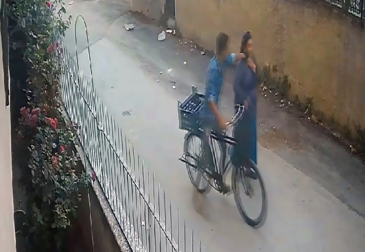 Adres sorma bahanesiyle altın kolye çalmaya çalışan hırsız, kadının elindeki dal parçasıyla uzaklaştırıldı
