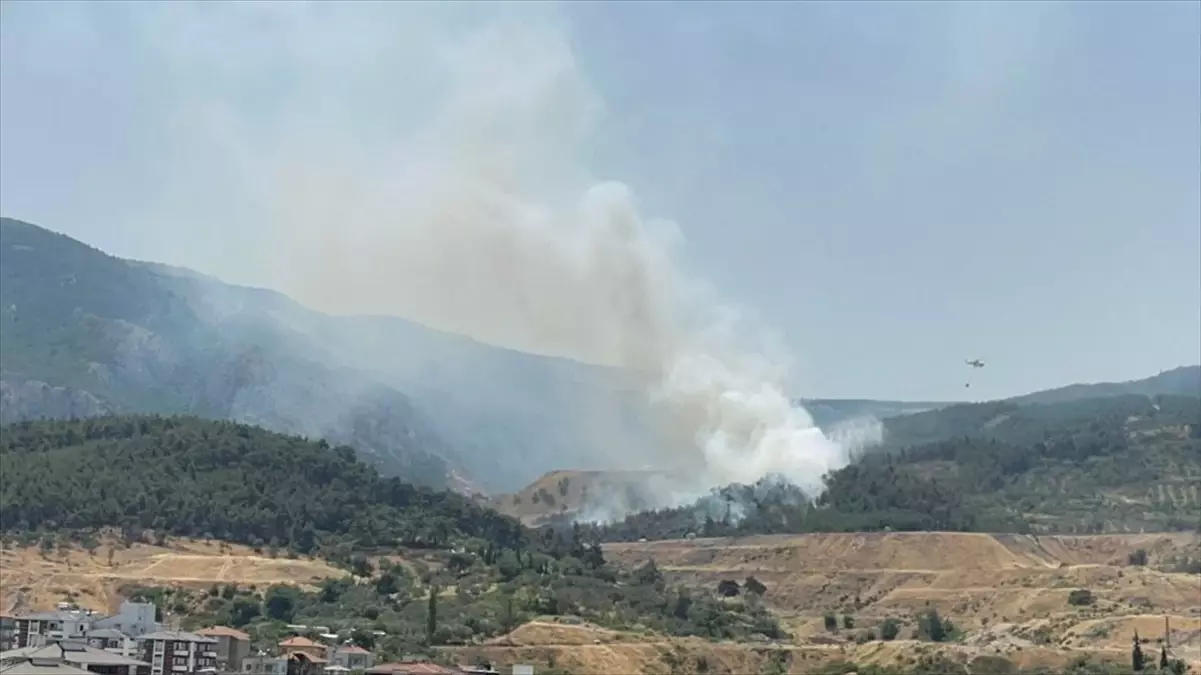 Manisa\'da çıkan orman yangını kontrol altına alındı