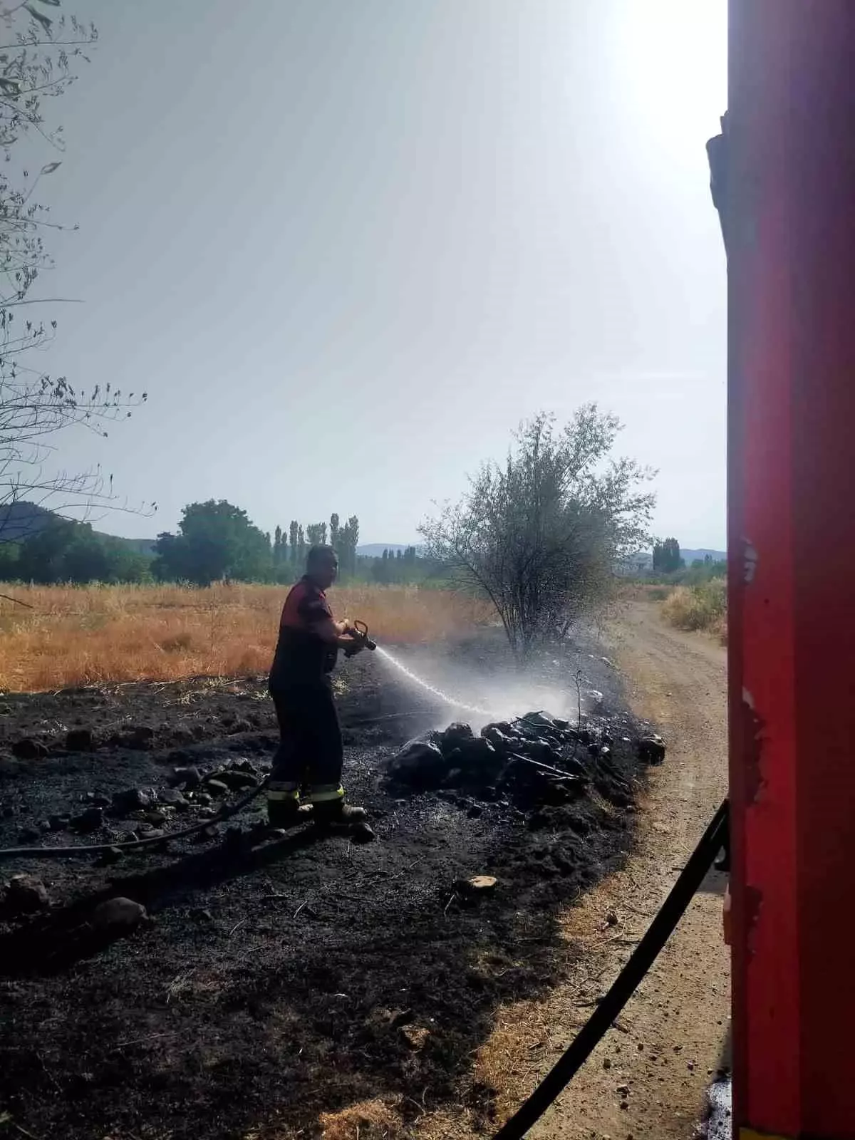 Çorum\'un Osmancık ilçesinde çıkan örtü yangınında birçok ağaç zarar gördü