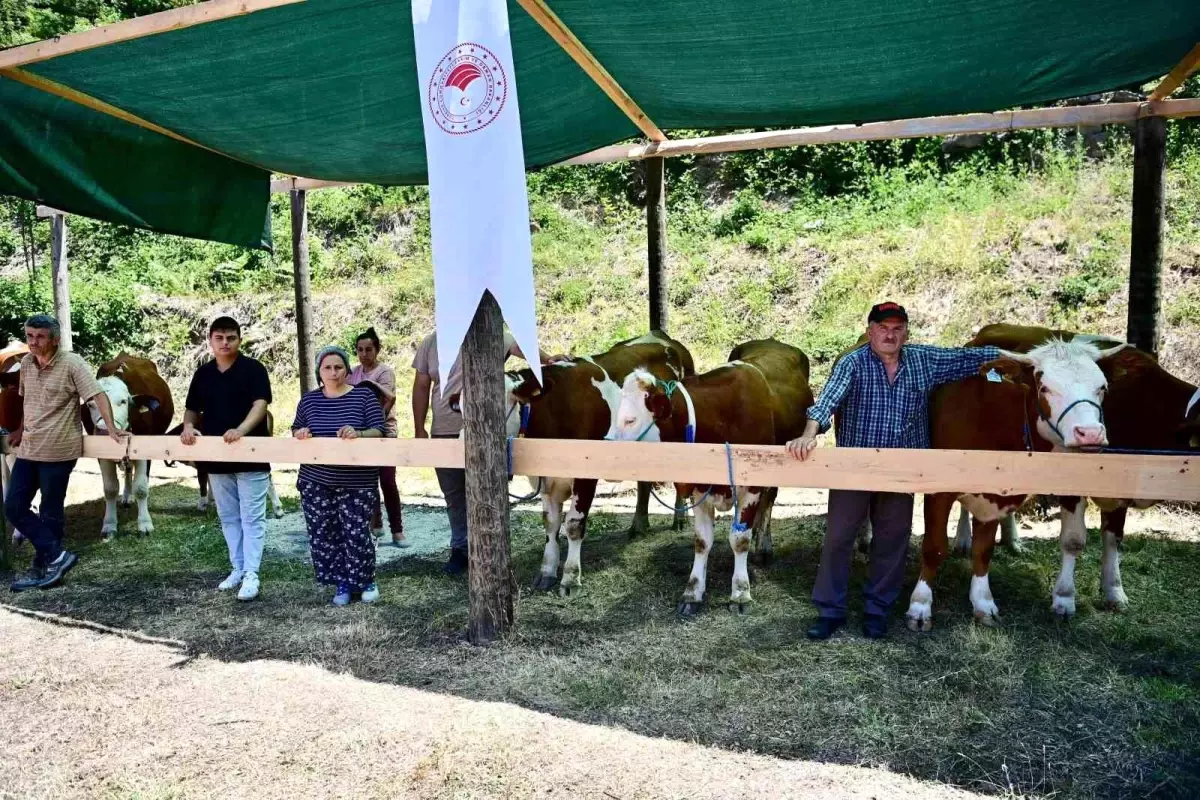 Sinop\'ta ORKÖY Projeleri Kapsamında 265 Köylüye 40 Milyon TL Ferdi Kredi Desteği Verildi